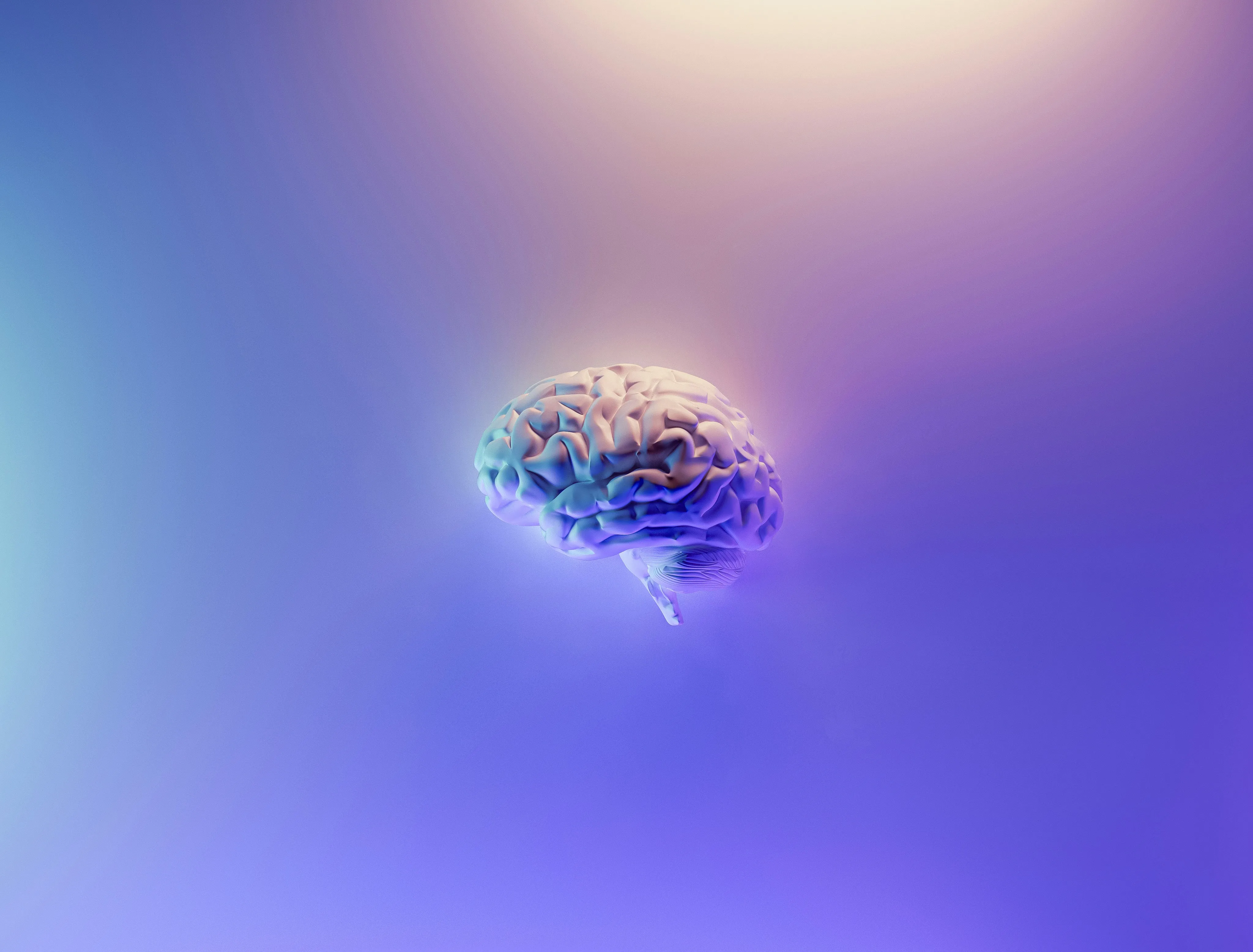 /images/author/milad-fakurian/minimized/milad-fakurian-58Z17lnVS4U-unsplash.webp